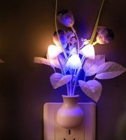 Special Mashroom Light